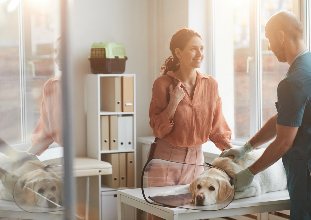 FearLess at the vets: Because patient emotional wellbeing matters