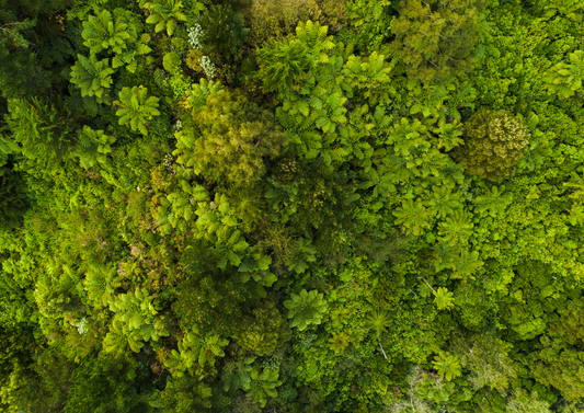 Sustainability: Beyond bins and bulbs