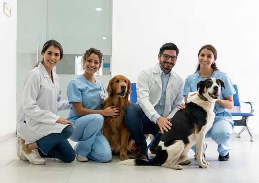 Imposter syndrome and compassion fatigue within consulting (LVS 2024)