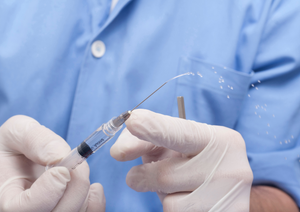 Feline anaesthesia & analgesia  (BVA Live 2025)