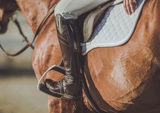 Pre-purchase examination of the sport horse: Yay or neigh?