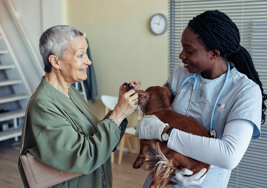 Communicating for Happy Clients