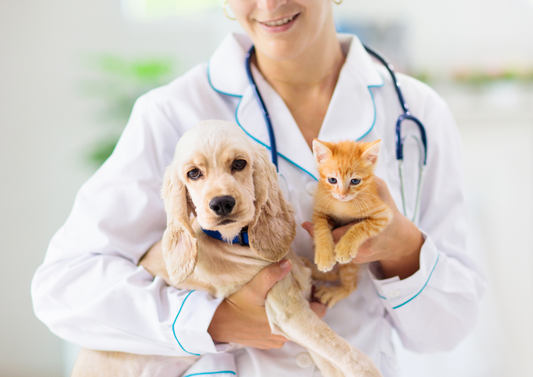 Routine de-worming is it time to change your routine?