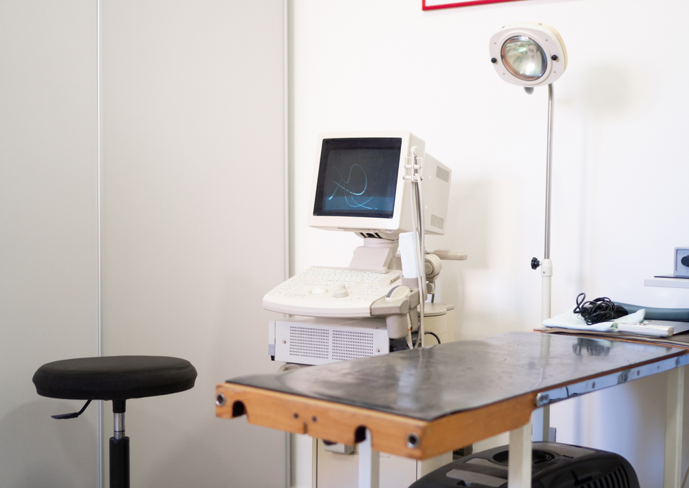 Unveiling the role of pre-anaesthetic blood work and patient stabilisation
