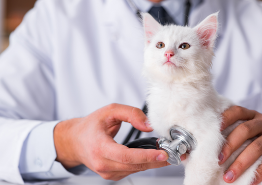 Ditching the script: Investigation and management of acute diarrhoea
