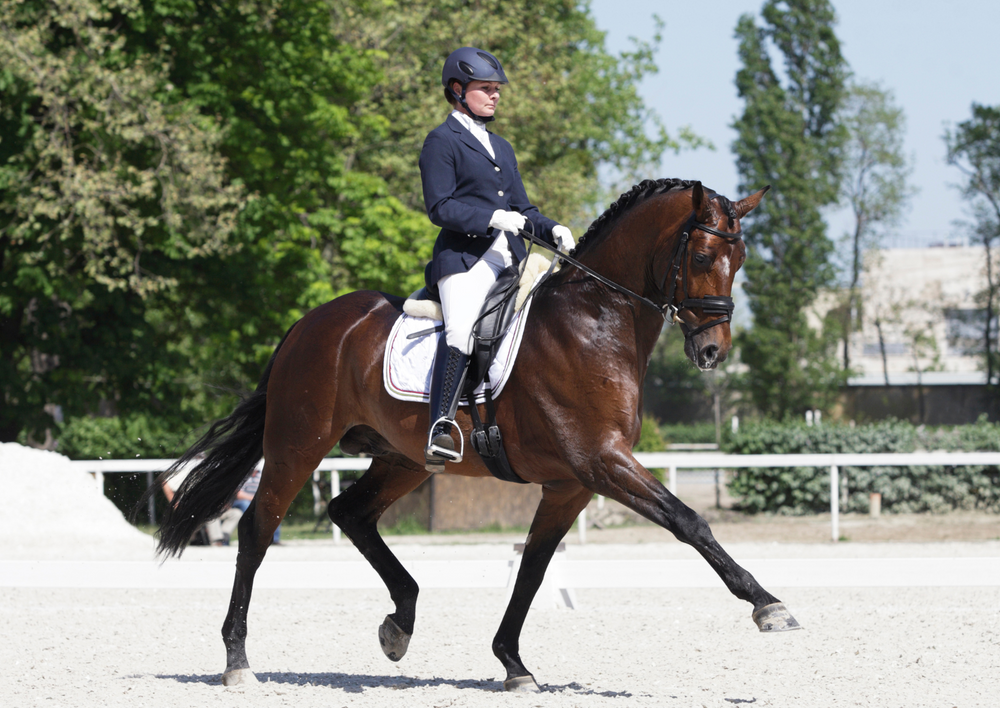 Don't get caught out: Treating horses in line with doping regulations (LVS 2024)
