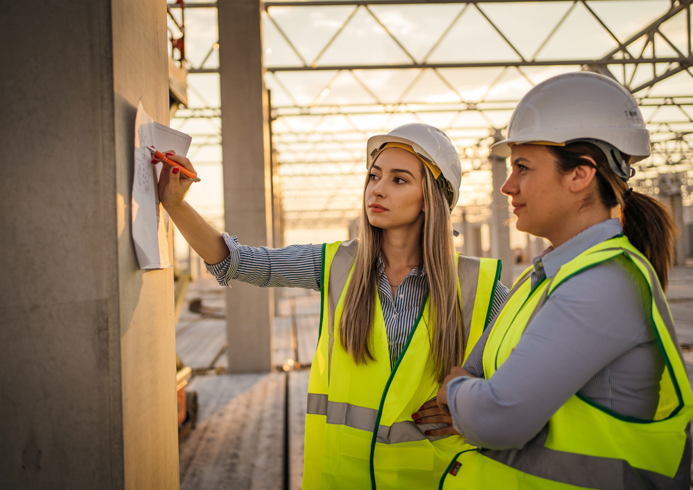 Veterinary practice design and building management: Meet the Experts