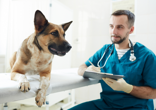 What's the role of risk-based preventive health care within a contextualised care framework?