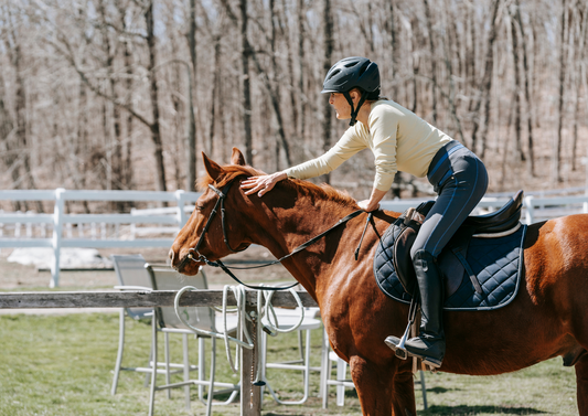 Horse-tack-rider interface issues as a cause of veterinary problems, and how to spot them
