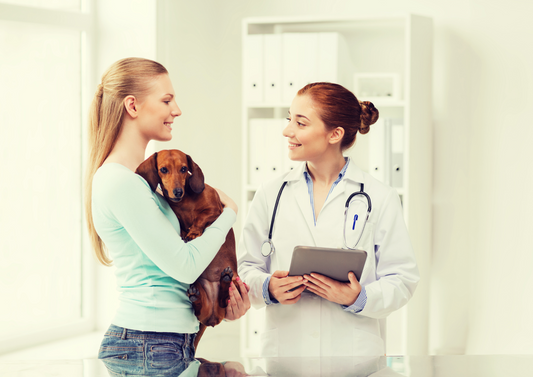 Who has a better prognosis after they were diagnosed with canine mast cell tumour- Sigi or Joy?
