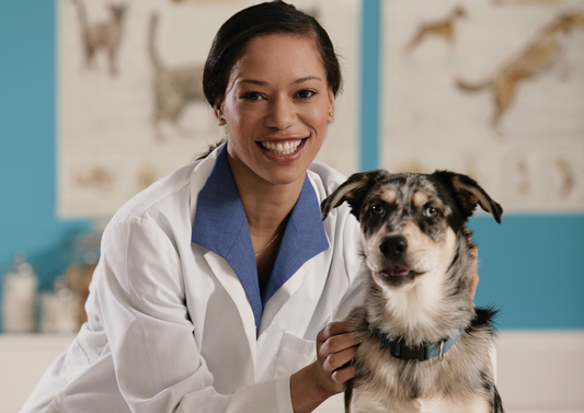 Hot and bothered: A logical approach to the patient with fever