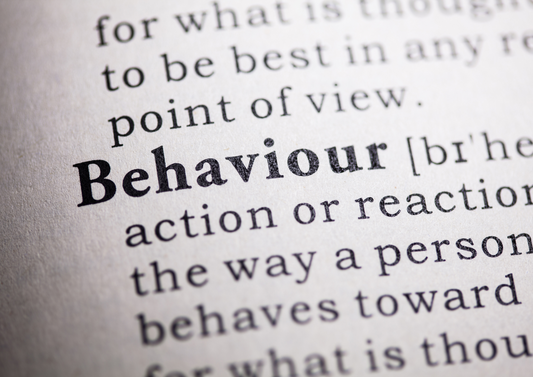 Handle with care: Fundamentals of behavioural first aid in general practice  (BVA Live 2025)