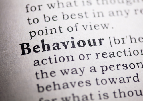 Handle with care: Fundamentals of behavioural first aid in general practice  (BVA Live 2025)