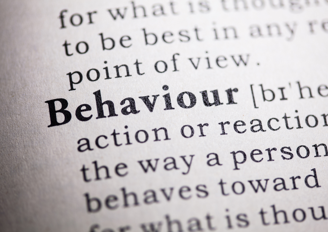 Handle with care: Fundamentals of behavioural first aid in general practice  (BVA Live 2025)