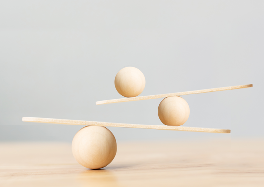 Balancing the Unseen: Thriving in Veterinary Careers and Life Beyond Work