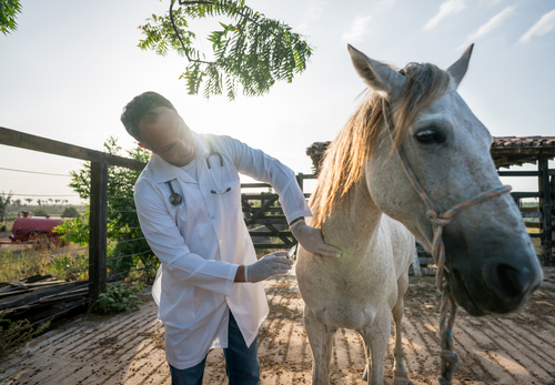 Vaccination, deworming...: Optimising preventative health care