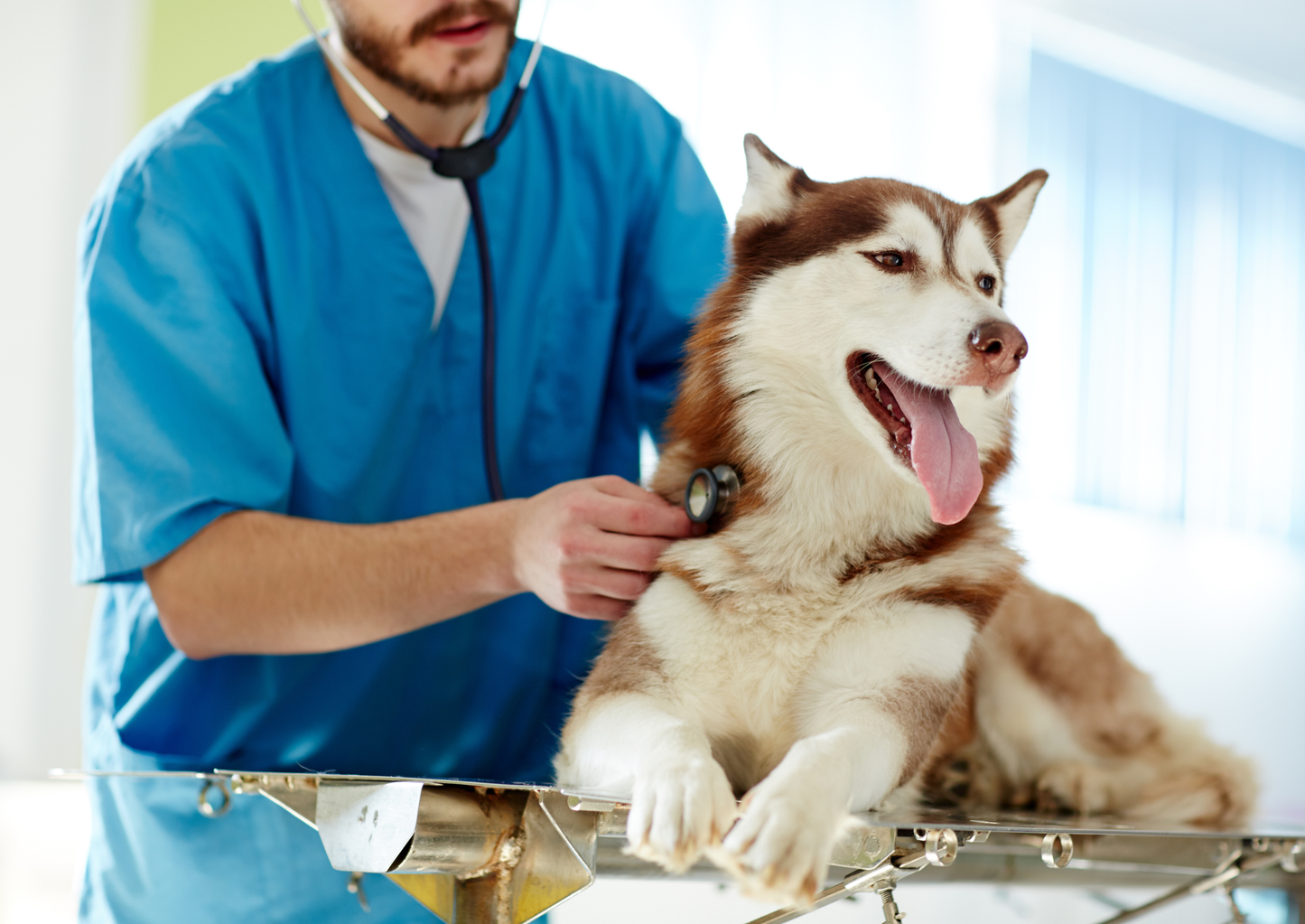 Top tips: My top tips for managing the emergency seizure patient (LVS25)