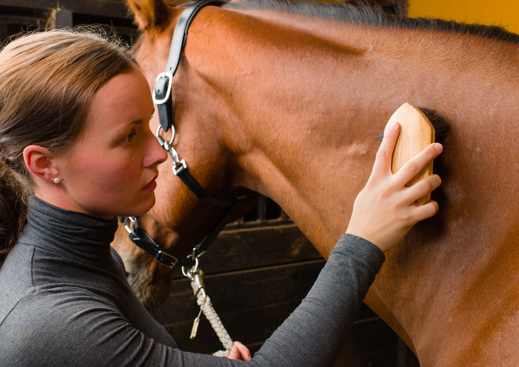 Practical equine dermatology