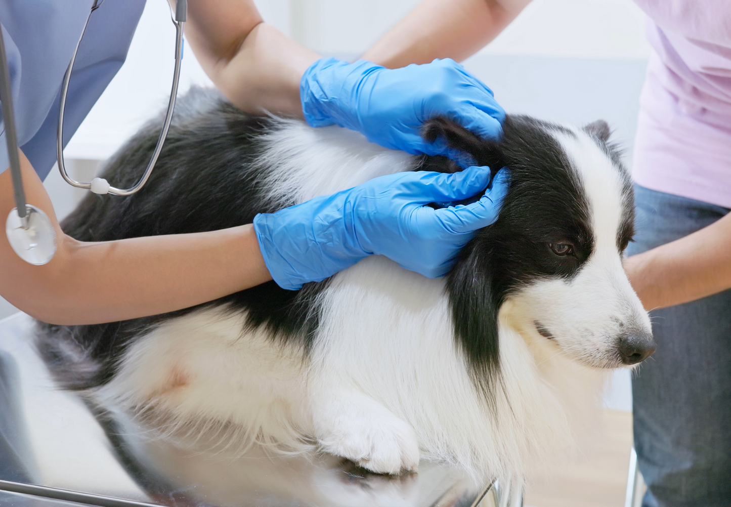 First do no harm: Getting otitis management right from the very first visit