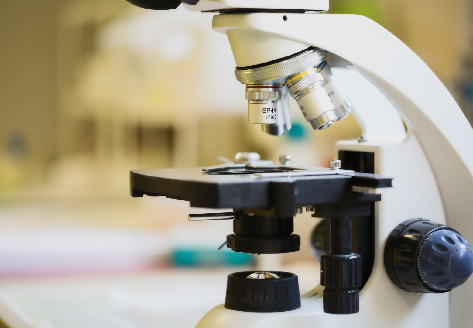 The lymph node under the microscope: Is it just reactive or something ...