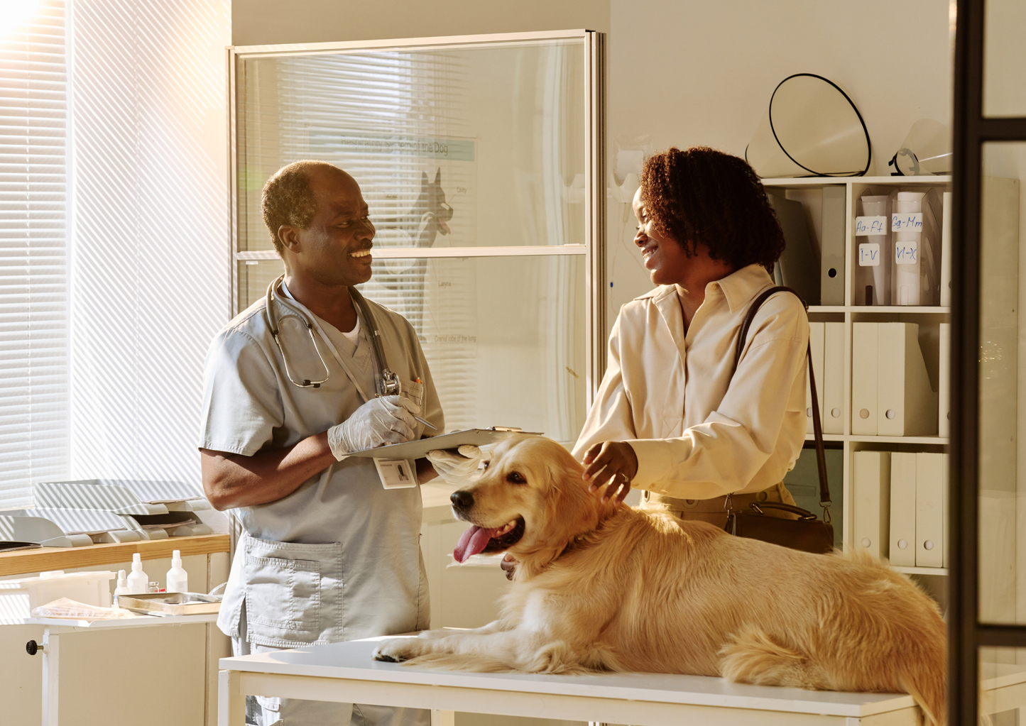 The do’s and don’ts of treating pyoderma – new guidelines for general practitioners (LVS25)