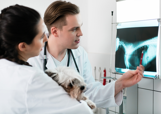 Orthopaedic radiography - how to get the perfect shots (LVS25)
