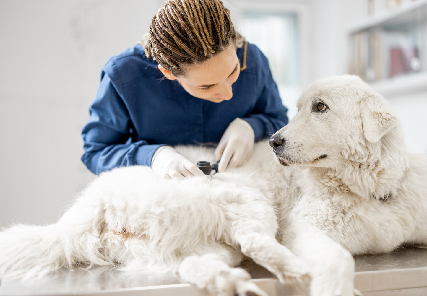 So much choice! Management options for the patient with atopic dermatitis: What works?