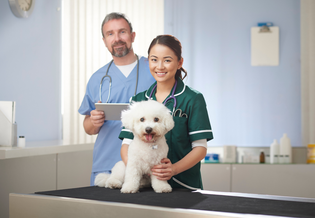 Vets v nurses: Are we blurring the lines?