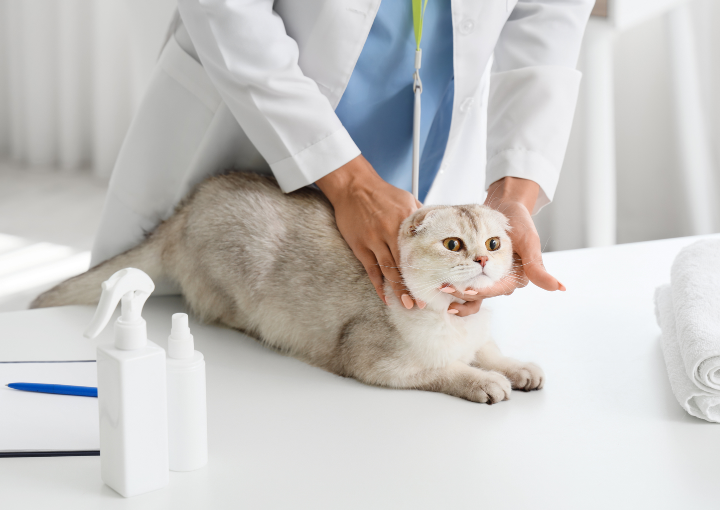 Diagnosing and staging chronic kidney disease in cats - is there really anything new? (LVS25)
