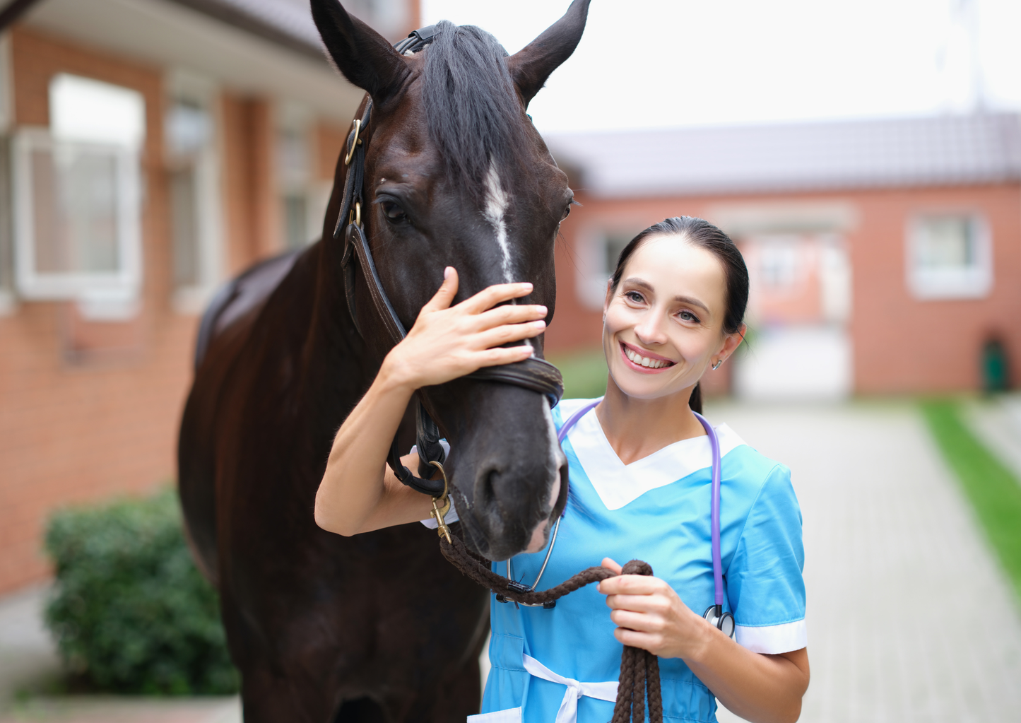 Pain-free gallop: Mastering local and systemic analgesia in horses (LVS25)