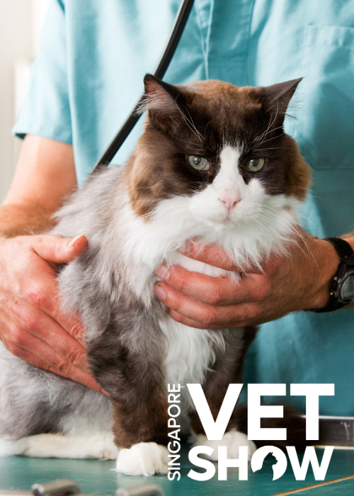 Antimicrobial Uses and Abuses - An Interactive Clinically Focused Discussion (SVS2024)