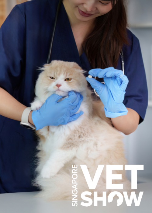 Prescribe with purpose: The six steps to responsible antimicrobial use in veterinary practice (SVS25)