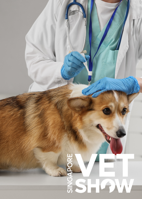 Principles of traumatic and surgical wound management and reconstruction (SVS25)