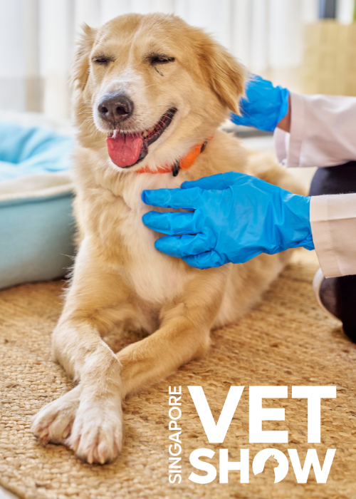 Where tech ends and triage begins: Smarter oncology decisions (SVS25)