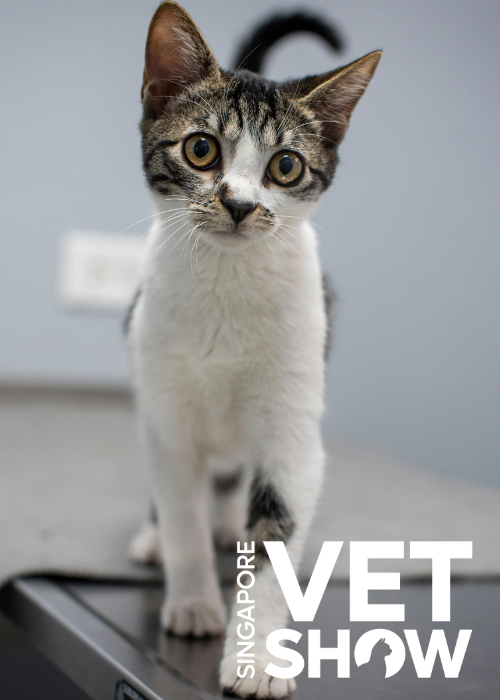 Making the most of your exploratory laparotomy (avoiding the “peek and shriek”) (SVS25)