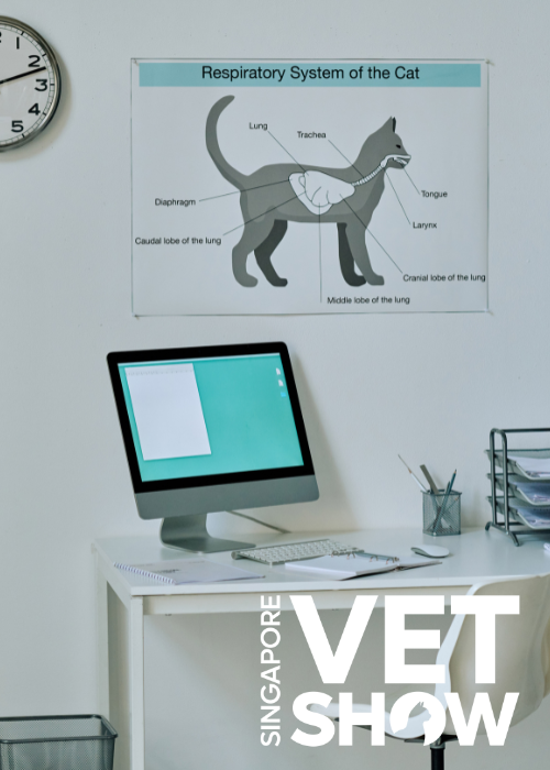 Mic drop medicine: 5 new ideas that changed the way I practice (SVS25)