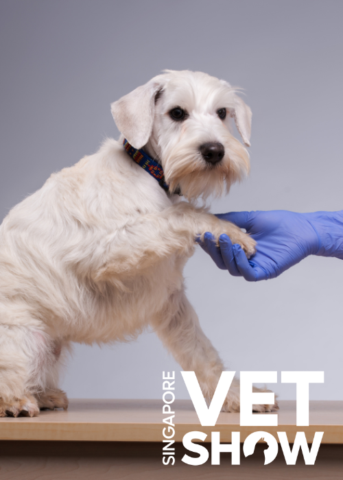 Staying alive - Update on the 2024 RECOVER guidelines (SVS25)