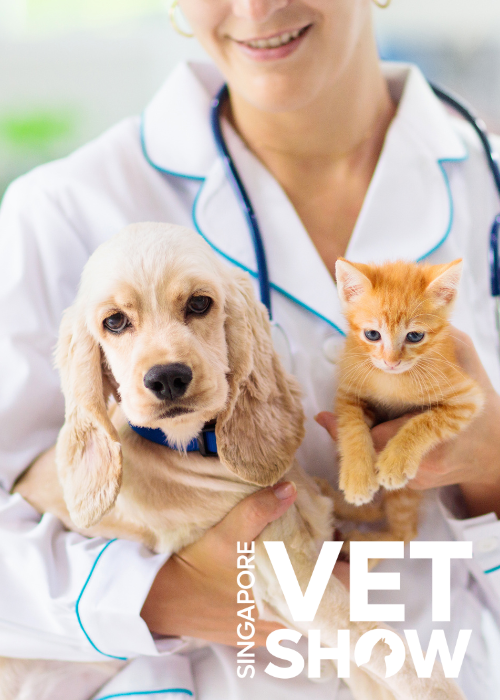 Approach to haemoabdomen and surgical tips for performing a safe and efficient splenectomy (SVS25)