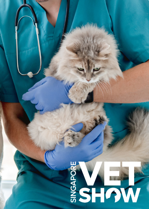 The other fluids on shelf – fluid therapy beyond lactated Ringer’s (SVS25)