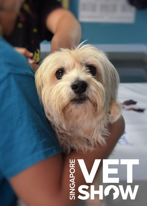 Managing Hepatic Disease with Nutraceutical Innovation - WePaticare®: Global Support to Liver health and function (SVS25)