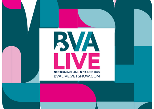 BVA Live 2025 Bundle