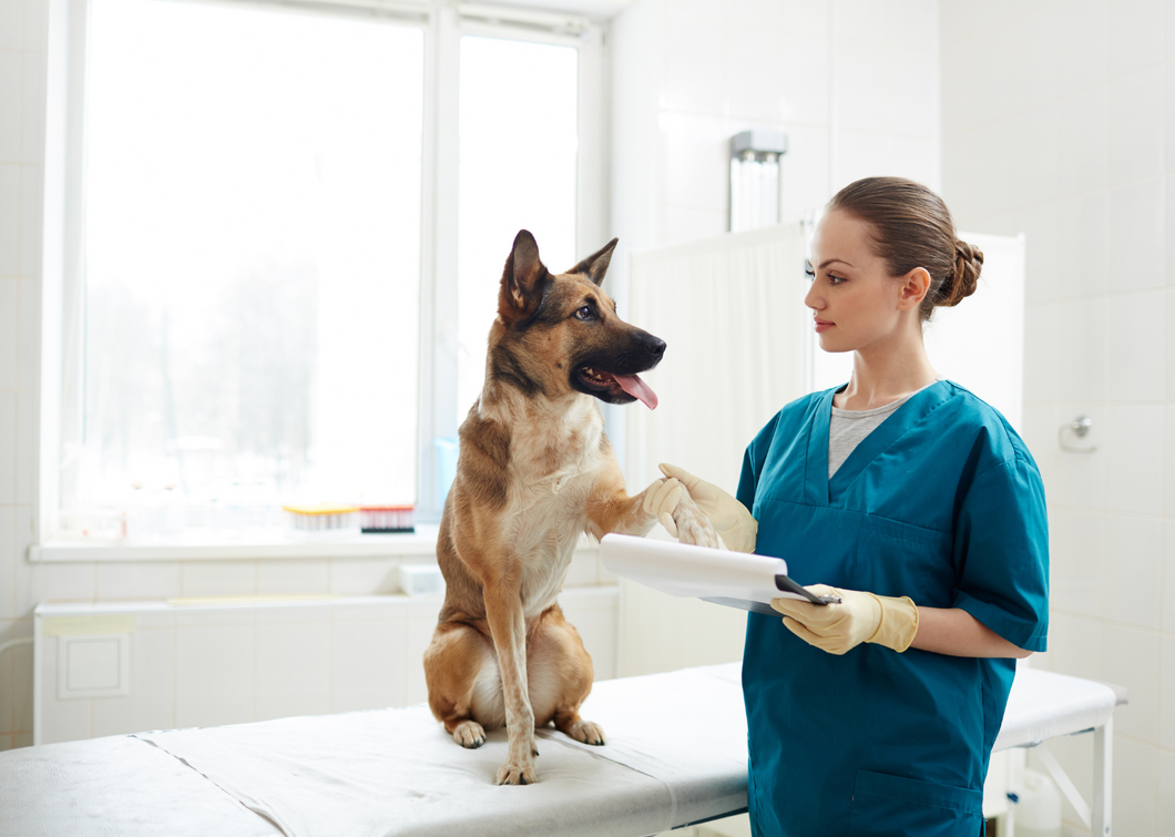 Identifying behavioural concerns in a veterinary consult - the key to earlier intervention and better outcomes