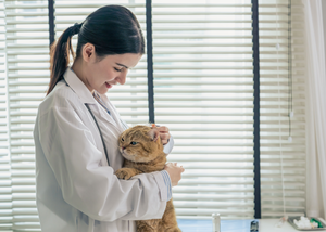 Feline Cardiomyopathies (WWV 2024)