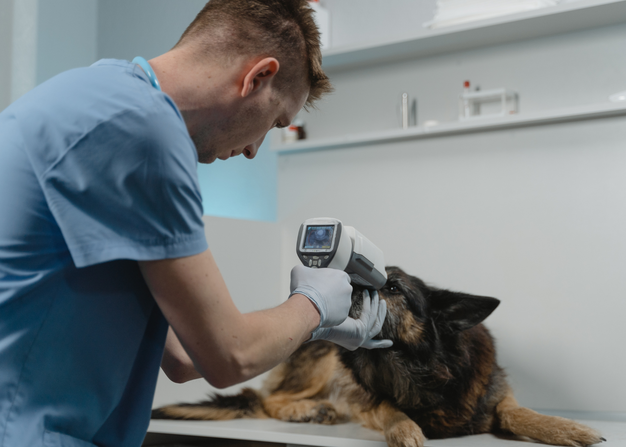 Preventing In-Hospital and Client Diversion (WWV 2024) – Vet Show Academy
