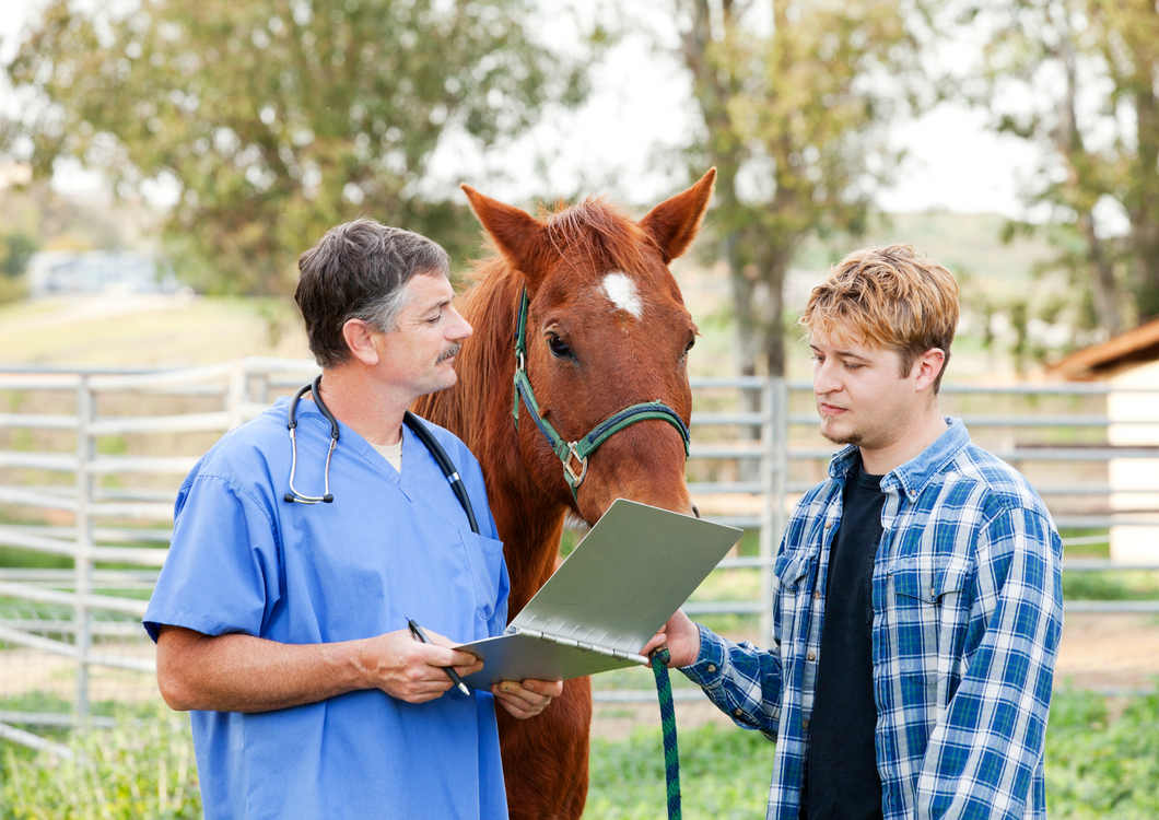 Triage of the Equine Neonate (WWV 2024)