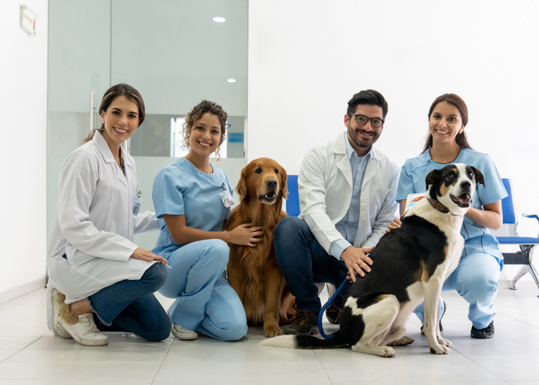 UNLEASH Your Potential:  What to Know about Selling a Veterinary Practice; Corporate v. Private Sales (WWV 2024)