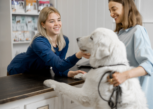 First Paw Forward: The first steps to launching your own veterinary practice (NYV 2024)