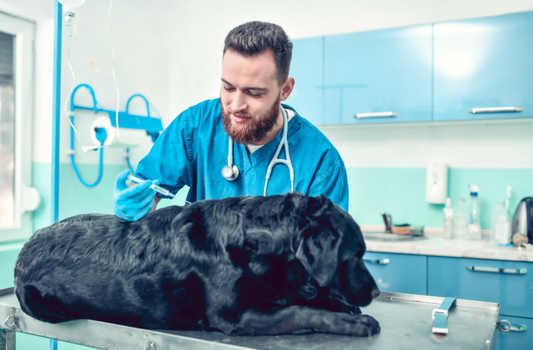 Top tips for spotting a neurological cause of lameness (LVS25)