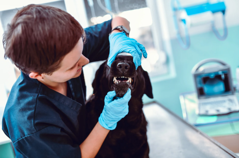 Local anaesthesia - dental and more