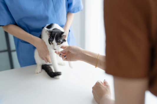 Uh oh otitis! Antibiotics or not? Which one? When? (LVS25)